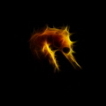 Shy Shape of the Sea(horse). Canon G12, InonS2000 strobe.