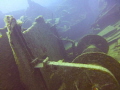 I took this picture in Gran Canaria whilst doing a wreck dive at the Mogan wrecks. I am new to U/W photography so my kit is still basic. This was taken on a Panasonic Lumix using the marine housing