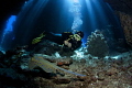 Dive in a fantastic cave system called Claudia in the Fury Shoals Egypt where the light came in nicely from above.