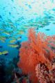 Wide angle shot off Manado...take 2 weeks ago. Canon 20D