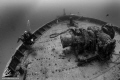 Adding a diver to the scene will help give a sense of scale. In this case, my bussy started the exploration of the top deck of the Fang Ming wreck, few miles from La Paz, Mexico.