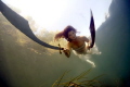 Katharina Kathari, Bellydancer and Artist for experimental dance from Germany with her performance as under water Amazone