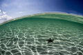 A super clear day at Starfish Point.