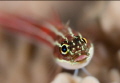Eye to eye