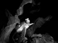 Nestled in Comfort
Sea turtle resting between two elephant ear sponges.