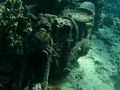 Motorcycle at Harley Reef