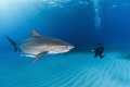 The ocean has a wonderful way of showing us what really matters.