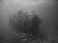 wreck the benwood key largo florida natural lite