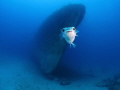 Photo Bomber - i was trying to get a photo of the Swan Wreck but this little Globe fish had other ideas:)