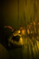 this picture it had been taken in a swimming pool just with nikon d3200 and digipac underwater housing