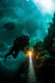 The Ice Diver
