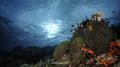 Landscape Silver Tower Dive Site at South Bolaang Mongondow, North Sulawesi, Indonesia