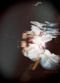 Underwater Fashion