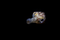 ~ Into the light ~
Taken on Photographers reef in False Bay, Cape Town.   Canon 7DMII, Nauticam, Snoot