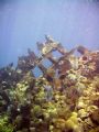 Another shot of the Cristobal Colon, Bermuda's largest shipwreck.