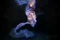 Fine art underwater photography