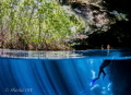 'Pensive Reflection' Cenote Split frame in the Jardin del Eden, Mexico