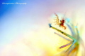 Live Life in Colours