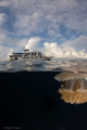 Jelly fish after a dive