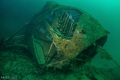 Diving attraction