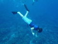 A fun day looking for conch