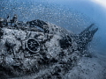 'Life In The Big City' - The wreck of the U352 off the coast of North Carolina is reminiscent of a bustling city, with all of the residents busily going about their daily routines