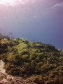 Taken during a trip in Curacao.