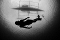 Shot on breath hold (all my photos are shot without using scuba tanks) at around 14m using a Nikon D300 and Tokina 10-17mm. Freediver : Mary Jane Paula Jumuad , Freediving Instructor .
