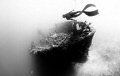 Freediver : MJ Paula Jumuad , Freediving Instructor . SHot with a Nikon D300 and Tokina 10-17 on breath hold .