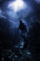 Sardine Run in the Philippines surround diver.
Natural light