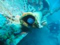 Taken with Cannon Powershot A40 with Ikelite Strobe at 30m, Conger in wreckage of the Teti, Island of Vis, Croatia.