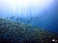 Amazing practice day at Chumphon Pinnacle.