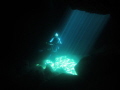 Ray of Light