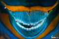 Simle