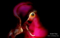 the eye of a shell