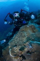 Underwater Photographer