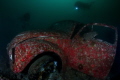 Volkswagen Beetle attracts more attention underwater than it did topside.