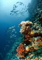 seascapes