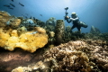 Islas del Rosario