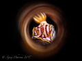 Shot with canon S120