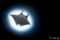 Gotham needs Batman