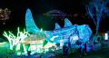 As part of this years Taronga Zoo Vivid there was these light sculptures of a Port Jackson Shark and Turtle