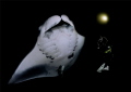 Night dancer