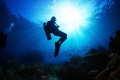 Tranquility - This was a picture taken towards the end of the dive. It was one of those almost spiritual moments.