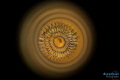 Picture of a spirograph taken at the dive sport of Ix-Xini on the Island of Gozo / Malta.
I tried to shoot the subject in an unconventional way, using a relatively new technique that I'm still familiarizing myself with.