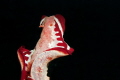 A flying nudibranch