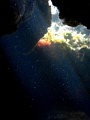 In a cave, under half daylight particals glare like stars; top right, out of the cave under sun light plants seem like 	lightning