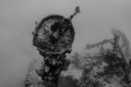 Ships telegraph. Wreck Tihony