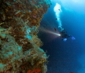 Ustica Island