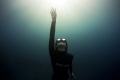 - Let's go to the light -
Last light of the day use to capture this shot of a free diver. The photo was taken freediving as well. Having the sun in the back of the person, makes that look of heaven, going to the light.